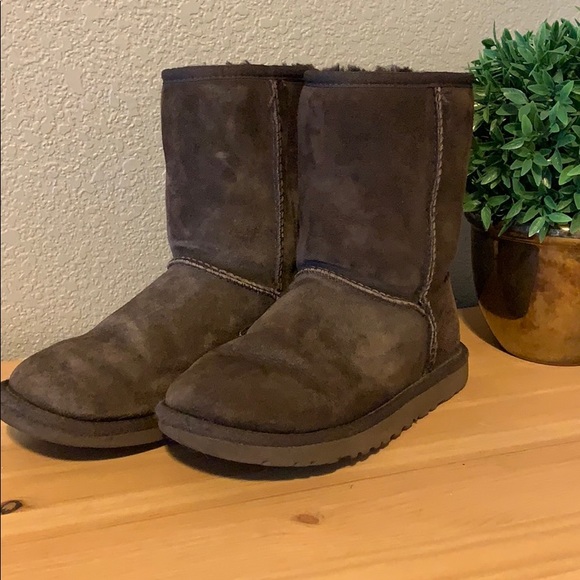 UGG Shoes - Chocolate brown short ugg boots